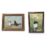 Sheila Steafel (1935-2019), Two oil paintings on canvas, dog portraits, signed and dated. H.33 W.