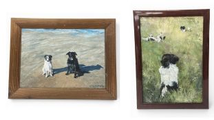 Sheila Steafel (1935-2019), Two oil paintings on canvas, dog portraits, signed and dated. H.33 W.