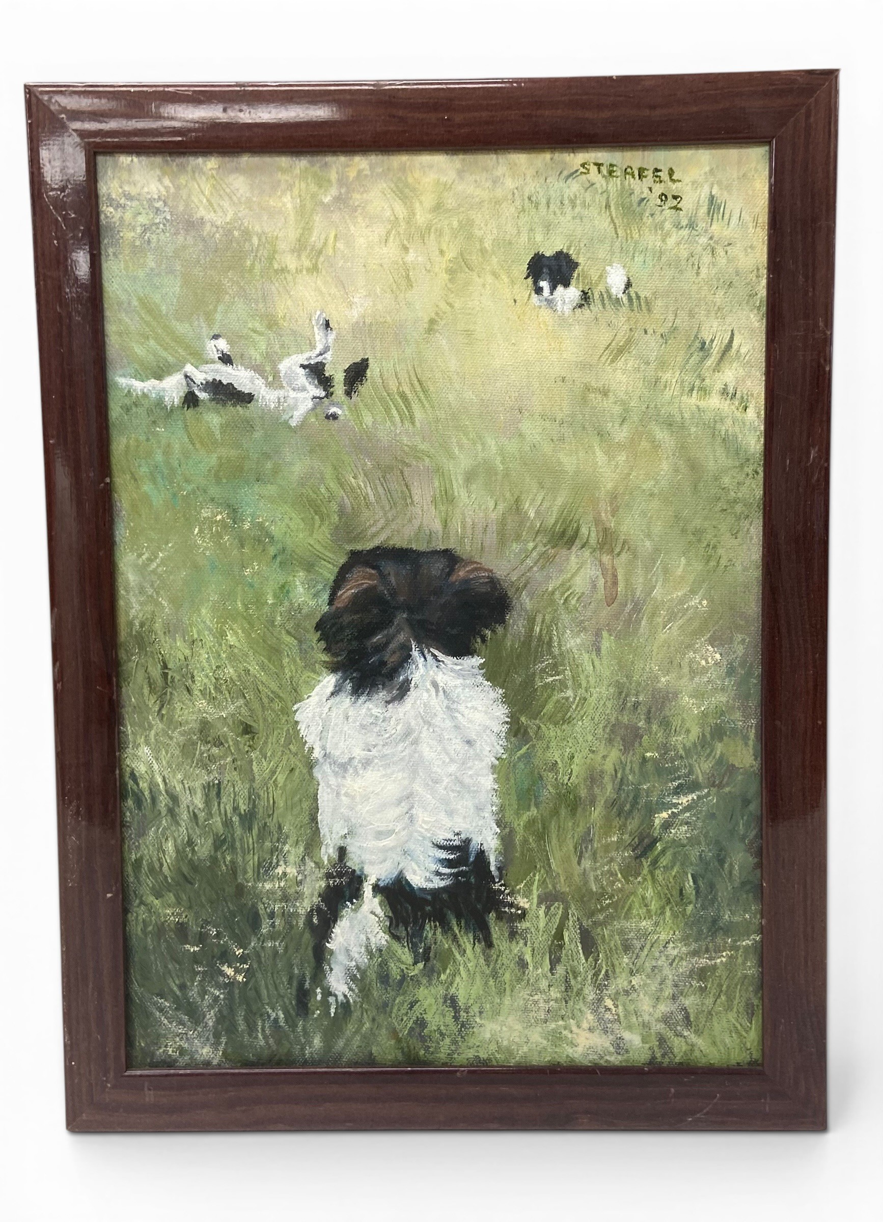 Sheila Steafel (1935-2019), Two oil paintings on canvas, dog portraits, signed and dated. H.33 W. - Image 9 of 9