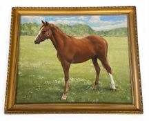 A contemporary framed oil portrait of a horse on canvas. Signed and dated Reg Lewis 1985. H.47 D.