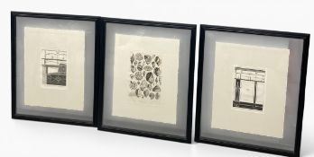 After Giovanni Battista Piranesi (1720-1778), a set of three architectural and other etchings. All