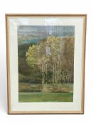 A large contemporary pastel drawing titled 'Country Scene' 1985 by Peter Thomas. Signed bottom left.