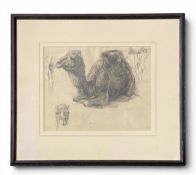 Wilhelm Kuhnert (1865-1926), a C.1900 pencil study of a camel surrounded by working sketches. Signed