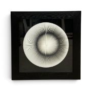 A contemporary 3D artwork in an ebonised box frame. H.90 x W.90cm.