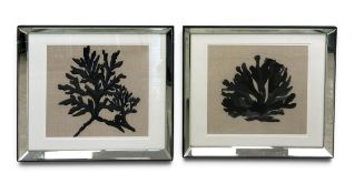 A pair of contemporary framed artworks, pressed fabric in the form of coral and seaweed in