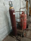 Double gas bottle trolley