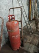 Double gas bottle trolley