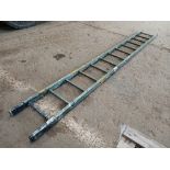 13 Tread step ladder