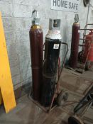 Double gas bottle trolley