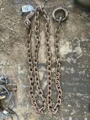 1 x 12' Lifting Chain