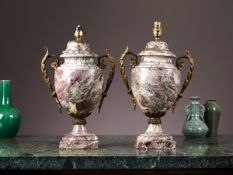 A PAIR OF 19TH CENTURY LOUIS XVI STYLE MARBLE AND ORMOLU URNS