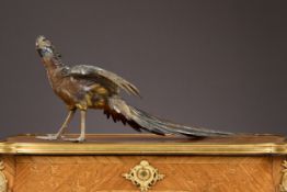 A MEIJI PERIOD GILT AND PATINATED BRONZE MODEL OF A PHEASANT, MARK FOR SEIYA