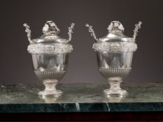 A FINE PAIR OF 19TH CENTURY NEO-CLASSICAL WINE COOLERS