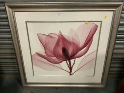 Antiques & Home Auction