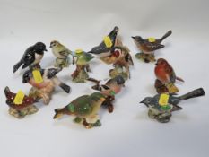 Twelve assorted Beswick bird figures