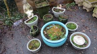 A large selection of ceramic garden planters together with concrete statue