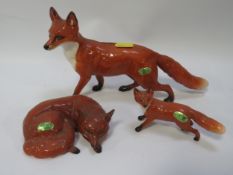 Large and small Beswick foxes together with a curled up example (3)