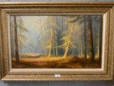 Christopher Osborne - A oil canvas depicting a forest glade, signed lower right, framed, 39 x 67 cm