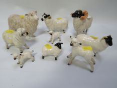 A collection of nine assorted Beswick sheep and lambs