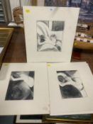 Angela Kelly, 3 pencil drawings female nude studies