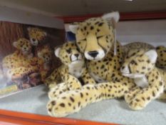 Three WWF Anna club plush cheetahs together with a glazed picture