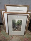 DOROTHY LOCKLEY - A selection of framed and glazed watercolours depicting various wild flowers,