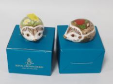 Two Royal Crown Derby hedgehog paperweights with gold stoppers - Strawberry and Primrose in original