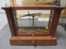 Antique scientific scales in glazed wooden case
