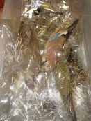 A collection of assorted taxidermy birds