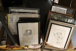 Two boxes of assorted pictures to include many cat examples