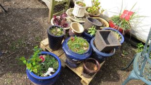 A large selection of ceramic garden planters and plant pots