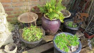 A selection of eight large ceramic plant pots / garden planters