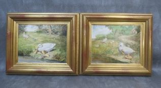 HUMPHRY (XX). British school, a pair of studies of ducks and ducklings on the riverbank, signed