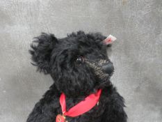 A BLACK STEIFF 2012 LIMITED EDITION TITANIC MOHAIR BEAR, white tag 66388, with RMS Titanic medal c