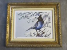 JIM COLLINS. 'Stellars Jay, Winter', limited edition seriolithograph in colour on woven paper,