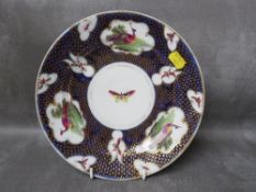 A CHAMBERLAINS WORCESTER CABINET PLATE, decorated with insects and birds, Dia. 22 cm