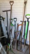 A selection of garden tools