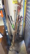 A selection of garden tools