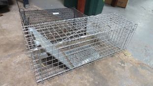 Two steel caged animal traps