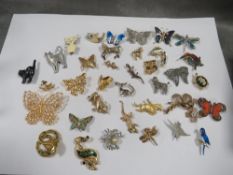 A box of costume animal brooches