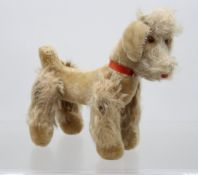 wohl Steiff-Pudel Snobby, älter, ohne Ident., bespielte Erhaltung, H-20cm