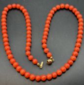 Korallen-Kette mit Goldverschluss-375-, L-44 cm, 20 gr.