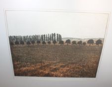 Redeker, Peter (1942 - 2022), Landschaft 77 II c, Farbradierung, gerahmt/Glas, Versand ohne Rahmen 