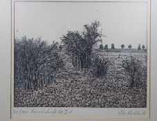 Peter Redeker, Landschaft, Radierung, gerahmt/Glas, RG 39 x 40,5cm