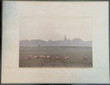 Hermann, (19)83 "Schafe vor Dorfansicht" Farblithografie, Nr. 1/40, ger/Glas, RG 66x51 cm