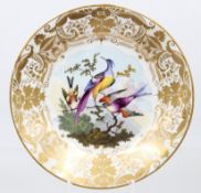 Zierteller mit Paradiesvogelbemalung, wohl Richard Dodson, Derby ca.1815, kl. Altriss, ca. D-23,5cm