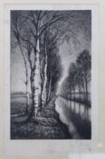 Georg FRITZ (1894-1967) , Birke am Bach, Radierung, älter, stockfleckig,  ger./Glas, 35 x 28cm