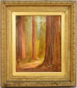 Tilden Daken Oil on Board Redwoods.