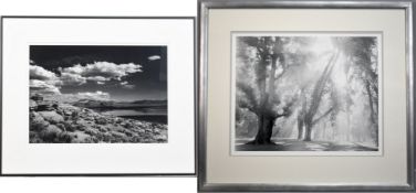 Bruce Barnbaum & John G. Van Winkle Gelatin Prints