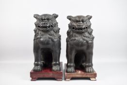 Pair of Chinese Bronze Foo Dogs.